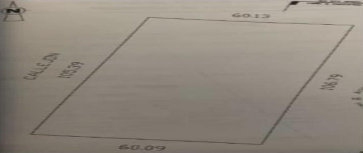 Foto de terreno habitacional en venta en  , tixcuytun, tekax, yucatán, 0 No. 03