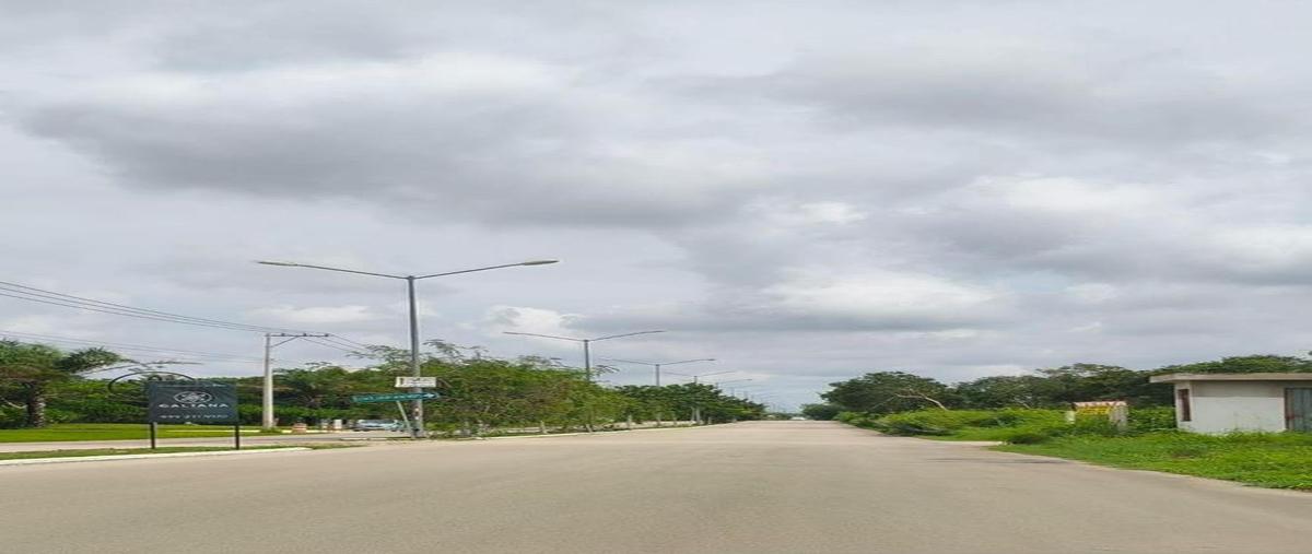 Foto de terreno habitacional en venta en  , tixcuytun, tekax, yucatán, 30963746 No. 03