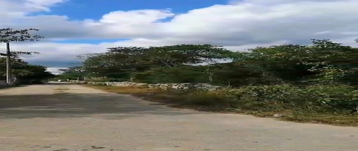 Foto de terreno habitacional en venta en tixkokob , nolo, tixkokob, yucatán, 0 No. 03