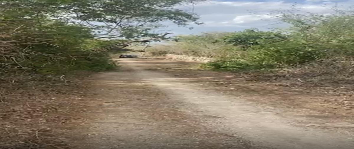 Foto de terreno habitacional en tixkokob , tixkokob, tixkokob, yucatán, 29984152 foto 03 Foto de terreno habitacional en venta en tixkokob , tixkokob, tixkokob, yucatán, 29984152 No. 03