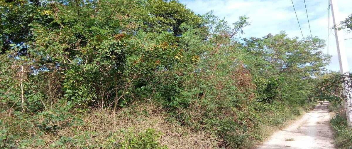 Foto de terreno habitacional en venta en  , tixkokob, tixkokob, yucatán, 0 No. 03