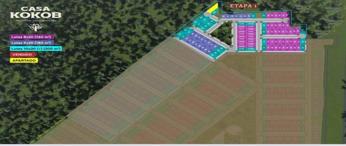 Foto de terreno habitacional en venta en  , tixkokob, tixkokob, yucatán, 0 No. 03
