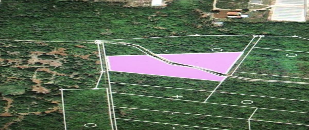Foto de terreno habitacional en venta en  , tixkokob, tixkokob, yucatán, 30075193 No. 03