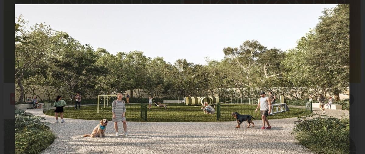 Foto de terreno habitacional en venta en  , tixkokob, tixkokob, yucatán, 0 No. 03