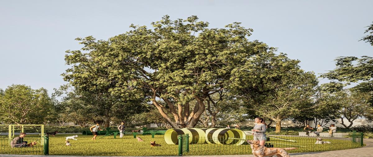 Foto de terreno habitacional en venta en  , tixkokob, tixkokob, yucatán, 0 No. 03