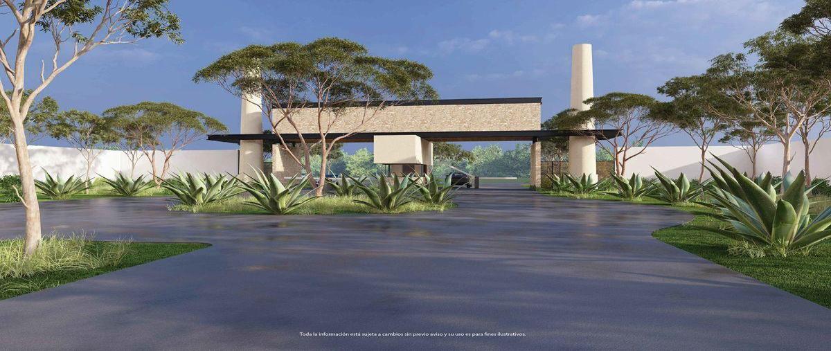 Foto de terreno habitacional en , tixkokob, tixkokob, yucatán, 30710325 foto 04 Foto de terreno habitacional en venta en , tixkokob, tixkokob, yucatán, 30710325 No. 04