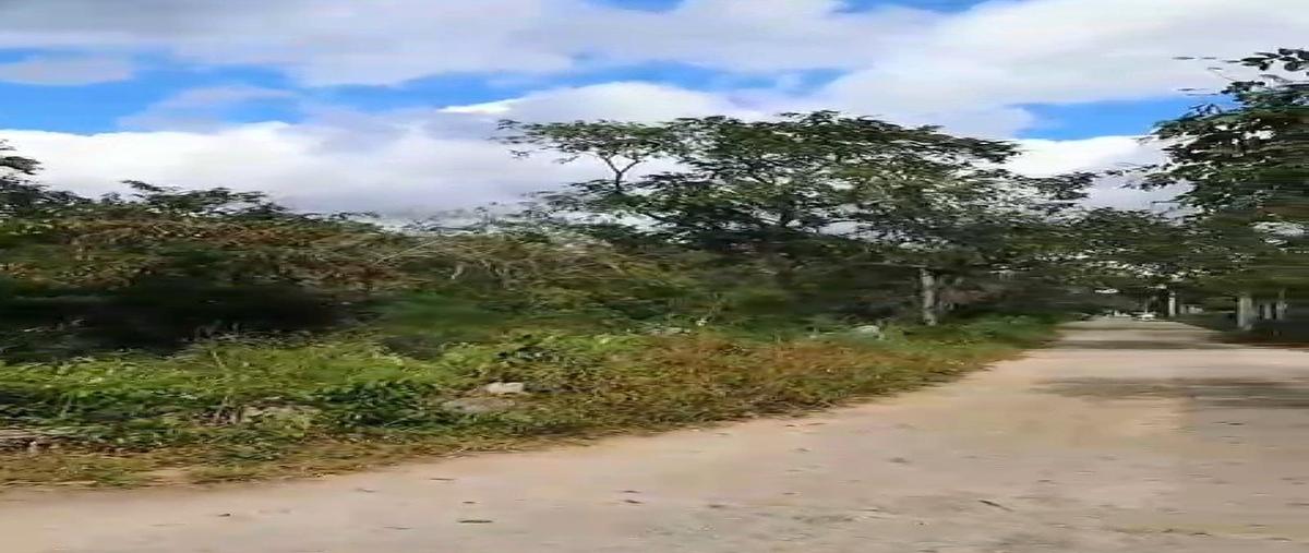 Foto de terreno habitacional en venta en  , tixkokob, tixkokob, yucatán, 0 No. 04