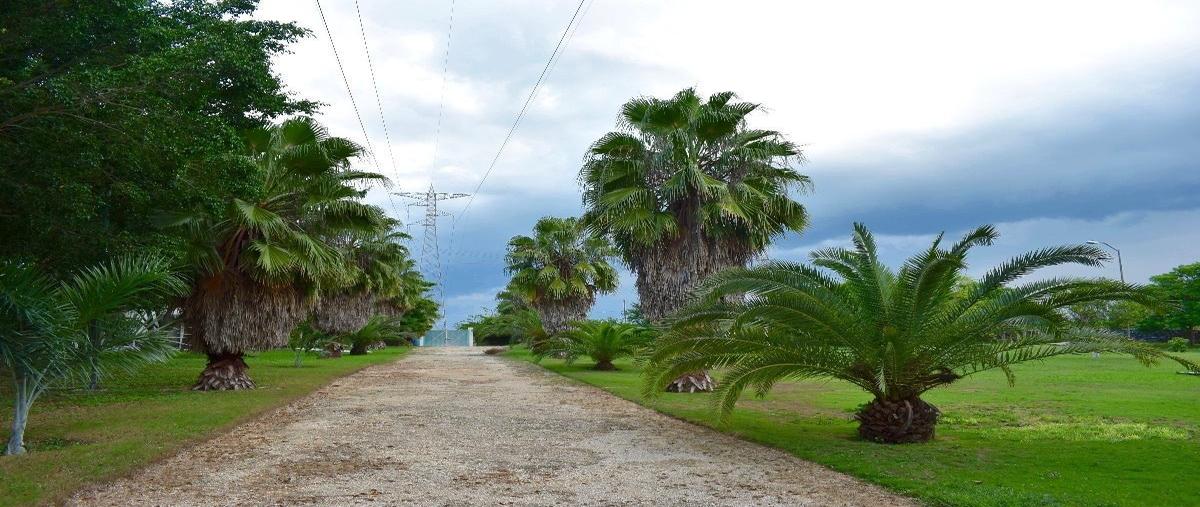 Foto de rancho en venta en  , tixkokob, tixkokob, yucatán, 0 No. 03