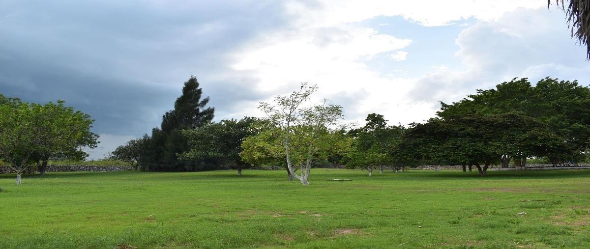 Foto de rancho en venta en  , tixkokob, tixkokob, yucatán, 0 No. 05