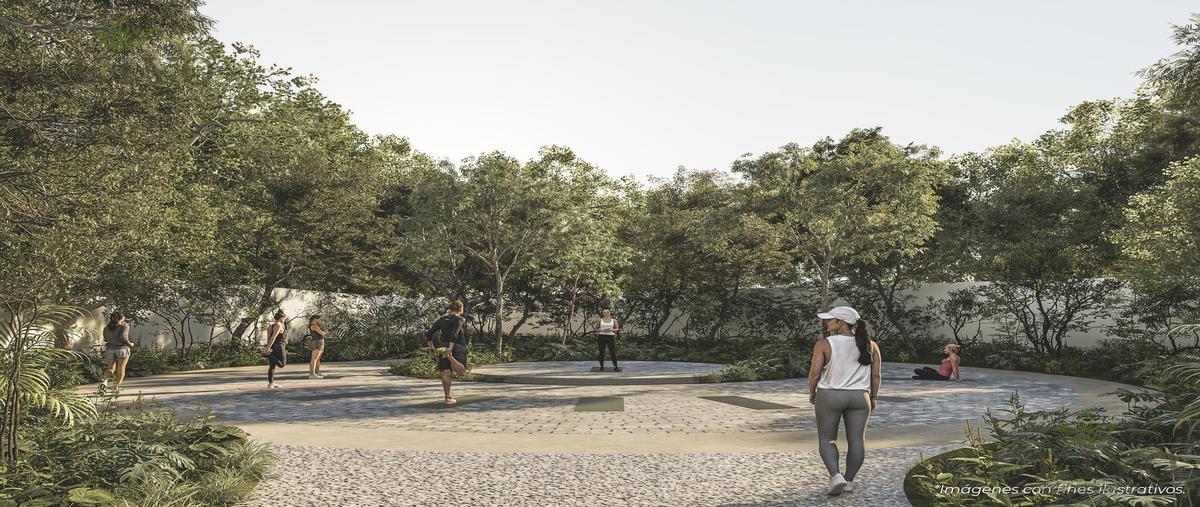 Foto de terreno habitacional en venta en  , tixkokob, tixkokob, yucatán, 0 No. 05