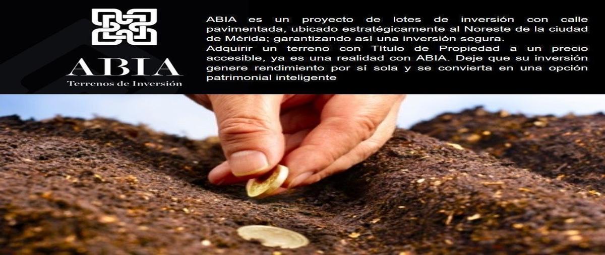 Foto de terreno habitacional en venta en  , tixkuncheil, baca, yucatán, 19588309 No. 05