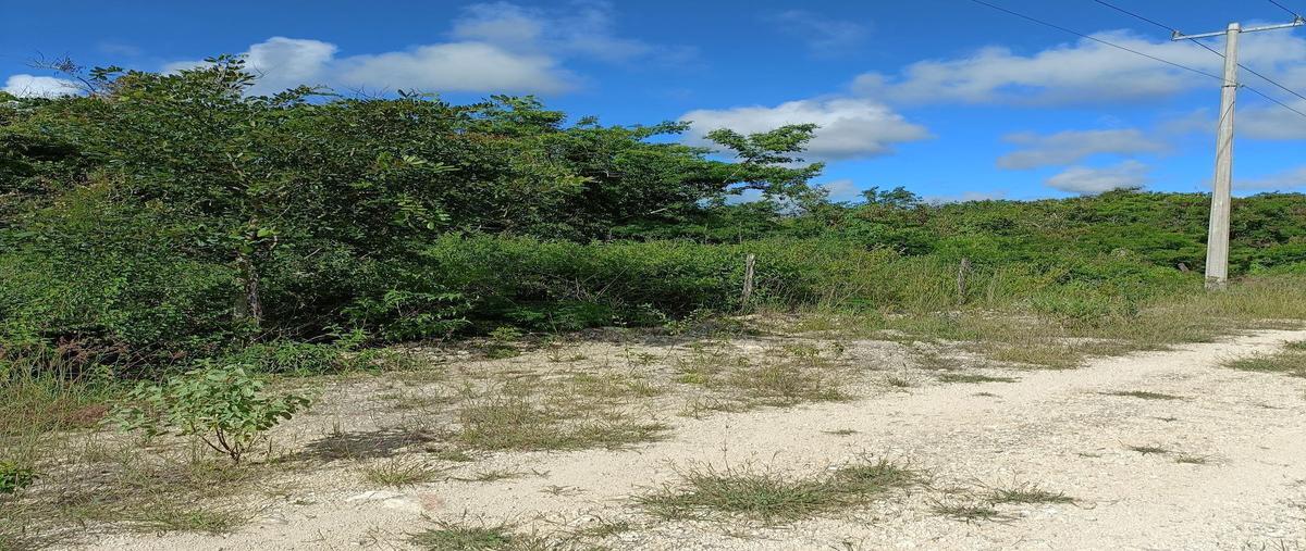 Foto de terreno habitacional en , tixkuncheil, baca, yucatán, 25483844 foto 03 Foto de terreno habitacional en venta en , tixkuncheil, baca, yucatán, 25483844 No. 03