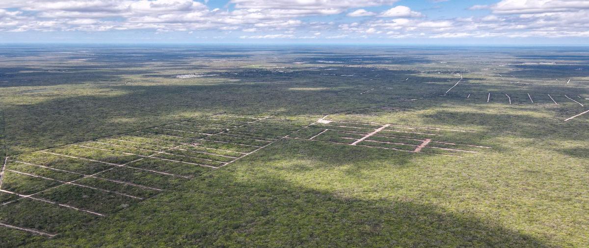 Foto de terreno habitacional en venta en  , tixkuncheil, baca, yucatán, 0 No. 05