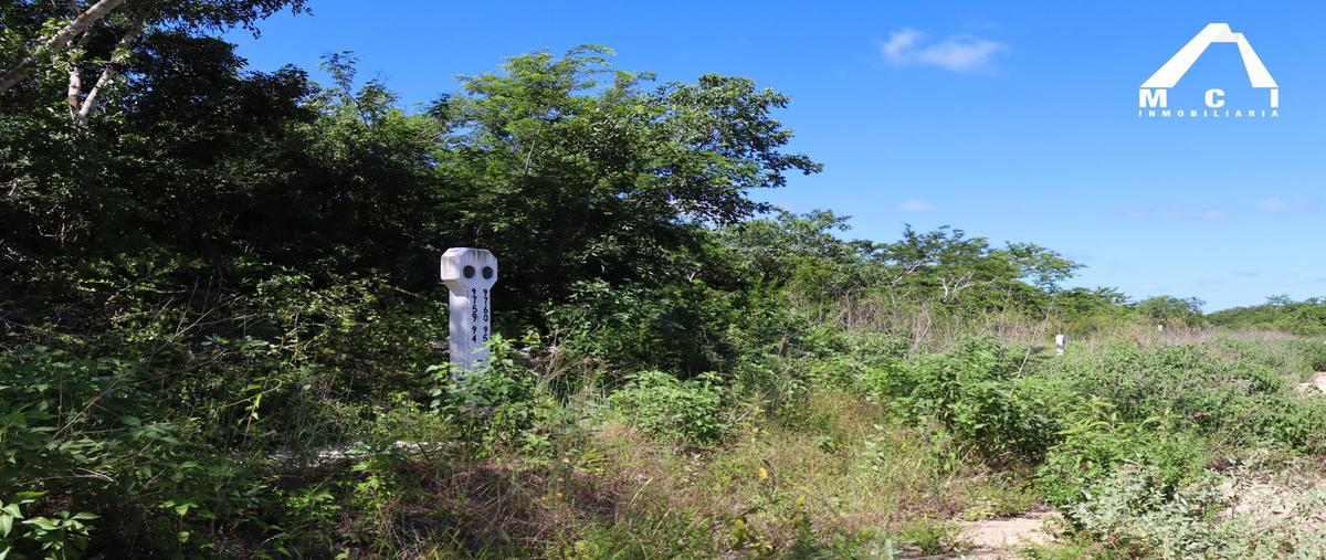 Foto de terreno habitacional en venta en  , tixkuncheil, baca, yucatán, 30351290 No. 04