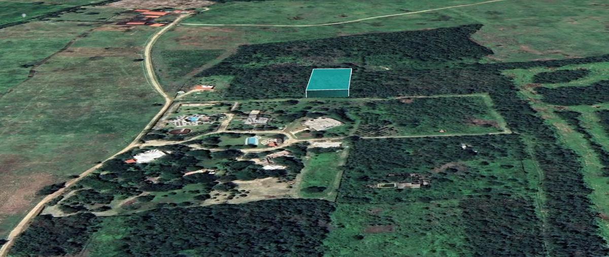 Foto de terreno habitacional en venta en  , tixkuncheil, baca, yucatán, 0 No. 03