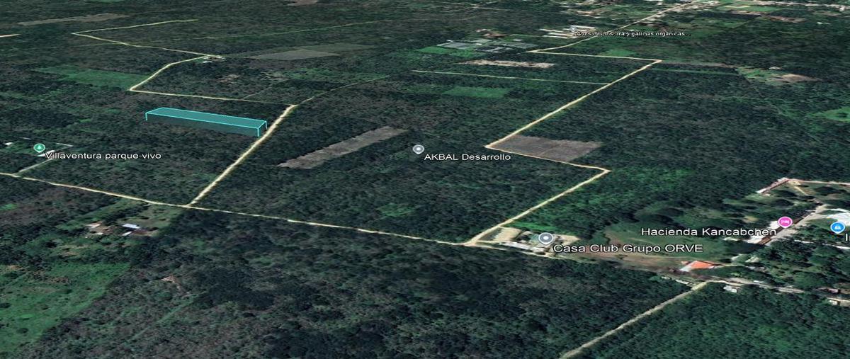 Foto de terreno habitacional en venta en  , tixkuncheil, baca, yucatán, 0 No. 04