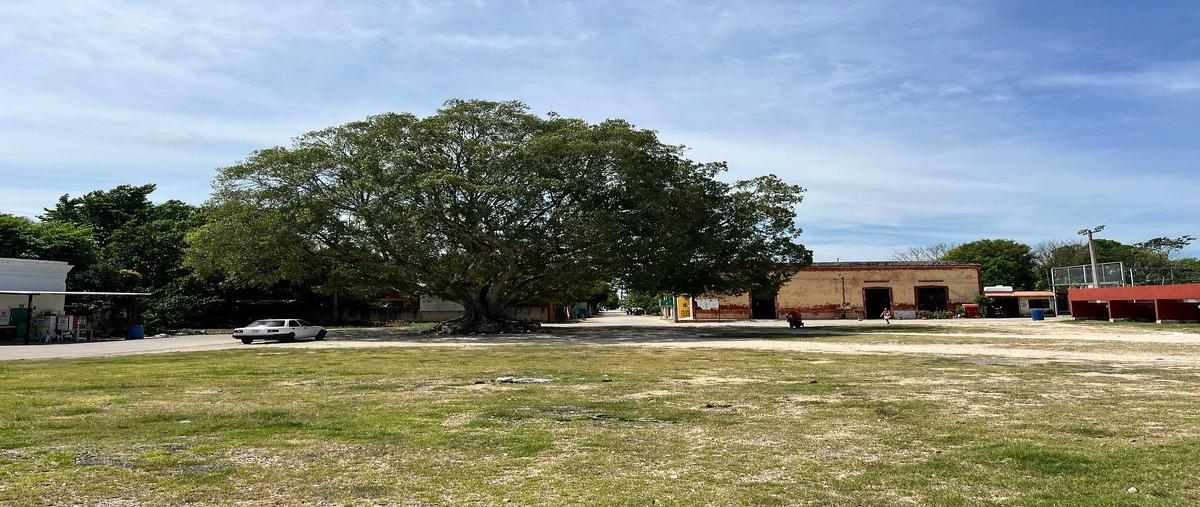 Foto de terreno habitacional en venta en tixkuncheil , kancabchen, motul, yucatán, 29226807 No. 05