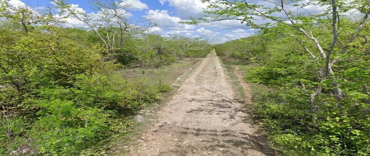 Foto de terreno habitacional en venta en  , tixpehual, tixpéhual, yucatán, 0 No. 03