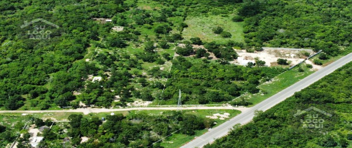 Foto de terreno habitacional en venta en  , tixpehual, tixpéhual, yucatán, 29335779 No. 03