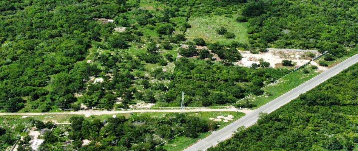 Foto de terreno habitacional en , tixpehual, tixpéhual, yucatán, 30526055 foto 03 Foto de terreno habitacional en venta en , tixpehual, tixpéhual, yucatán, 30526055 No. 03