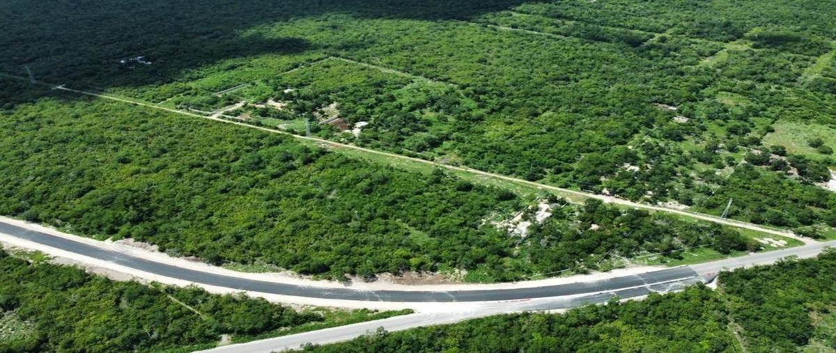 Foto de terreno habitacional en venta en  , tixpehual, tixpéhual, yucatán, 30644511 No. 04