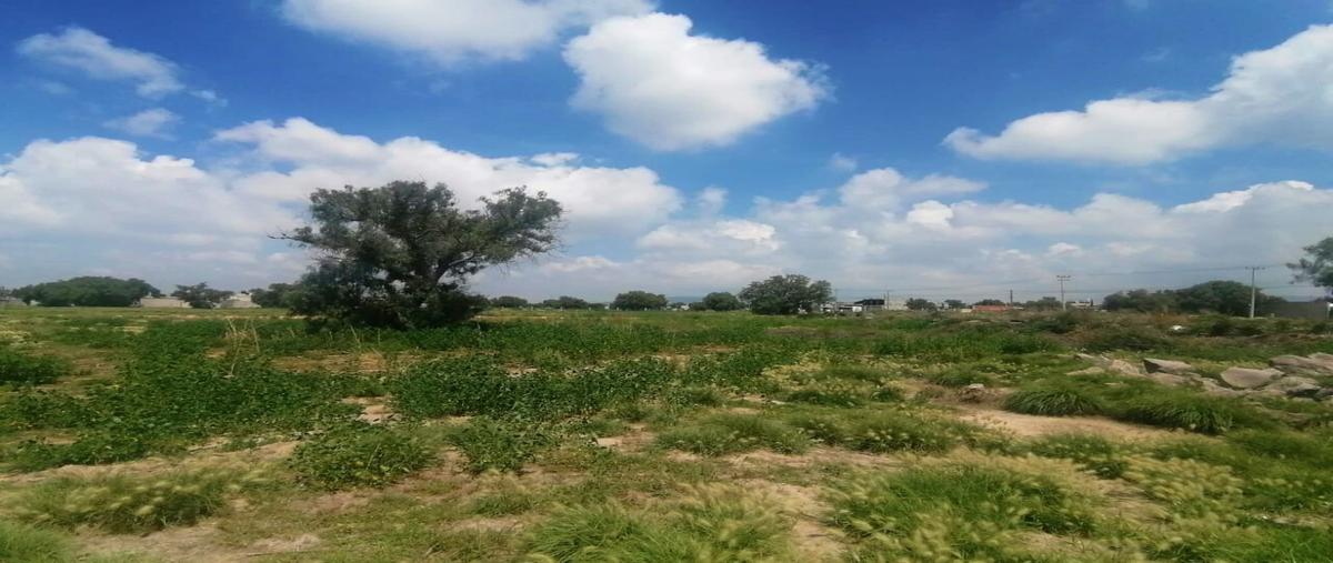 Foto de terreno habitacional en venta en  , tizayuca centro, tizayuca, hidalgo, 25242663 No. 04