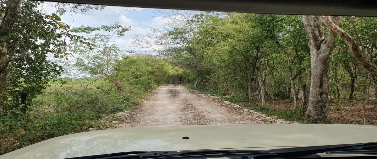 Foto de rancho en venta en  , tizimin centro, tizimín, yucatán, 26919662 No. 03