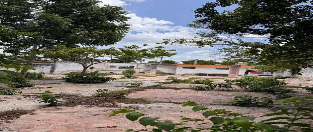 Foto de casa en venta en  , tizimin centro, tizimín, yucatán, 30822320 No. 04