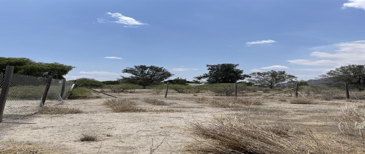 Foto de terreno habitacional en , tlacolula de matamoros centro, tlacolula de matamoros, oaxaca, 30193511 foto 03 Foto de terreno habitacional en venta en , tlacolula de matamoros centro, tlacolula de matamoros, oaxaca, 30193511 No. 03