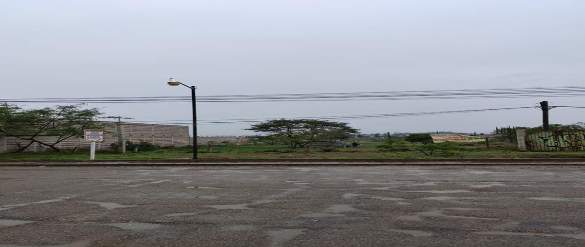 Foto de terreno habitacional en venta en  , tlacolula de matamoros centro, tlacolula de matamoros, oaxaca, 0 No. 04