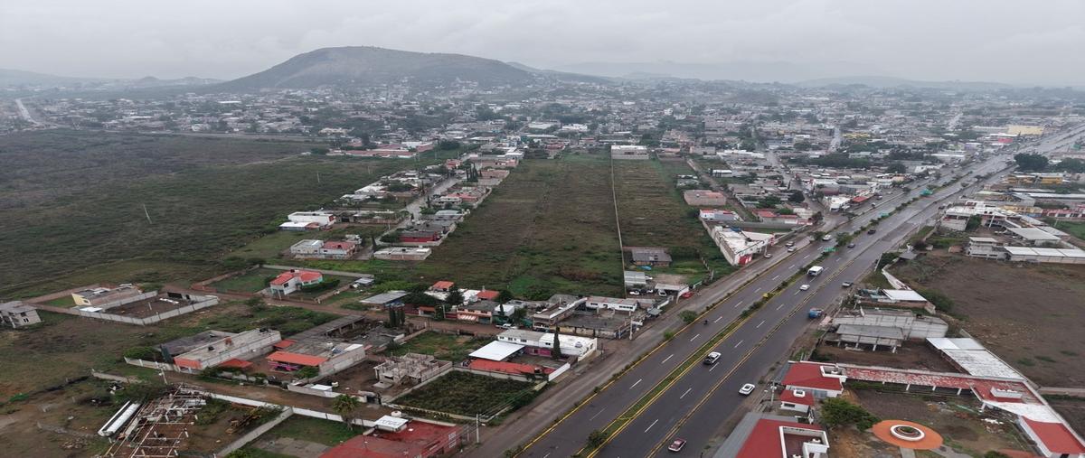 Foto de terreno habitacional en venta en  , tlacolula de matamoros centro, tlacolula de matamoros, oaxaca, 0 No. 05