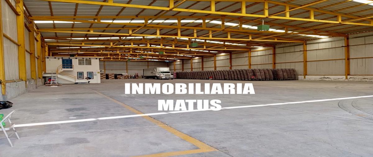 Foto de nave industrial en renta en  , tlacolula de matamoros centro, tlacolula de matamoros, oaxaca, 0 No. 03