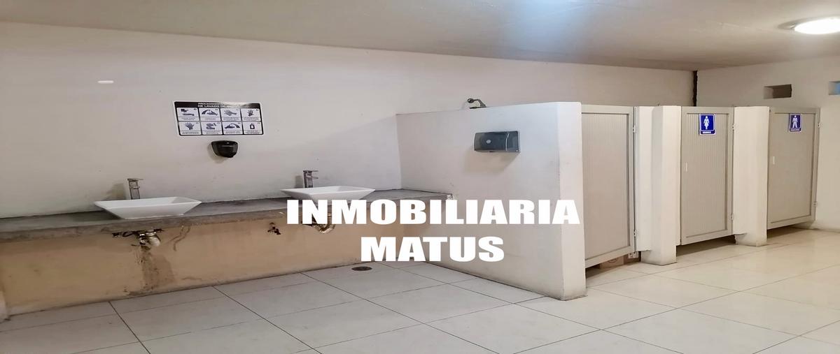 Foto de nave industrial en renta en  , tlacolula de matamoros centro, tlacolula de matamoros, oaxaca, 0 No. 05