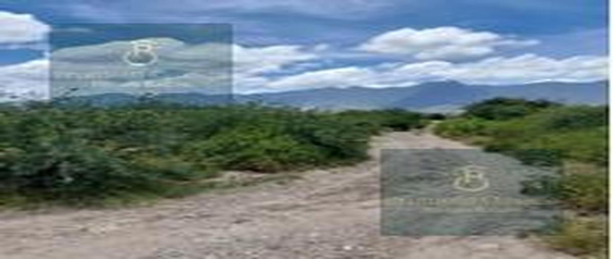 Foto de terreno habitacional en venta en  , tlacolula de matamoros centro, tlacolula de matamoros, oaxaca, 0 No. 05