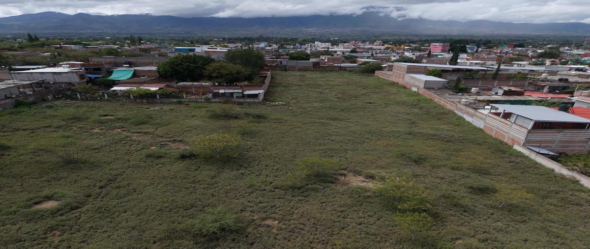 Foto de terreno habitacional en venta en  , tlacolula de matamoros centro, tlacolula de matamoros, oaxaca, 0 No. 03