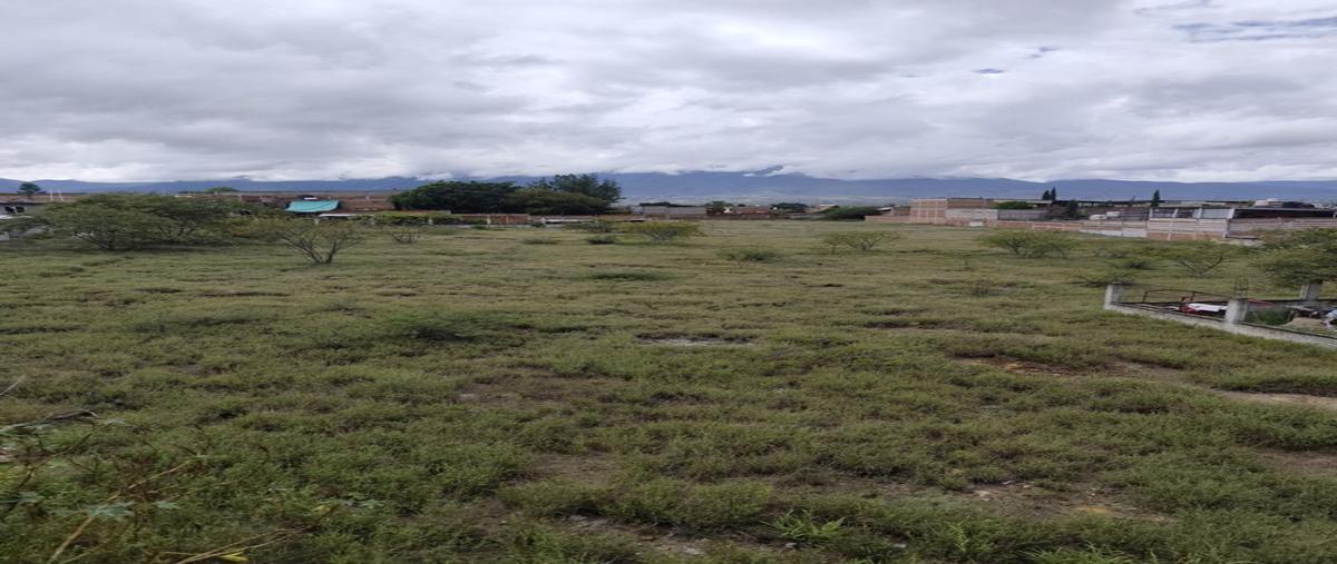 Foto de terreno habitacional en venta en  , tlacolula de matamoros centro, tlacolula de matamoros, oaxaca, 0 No. 04