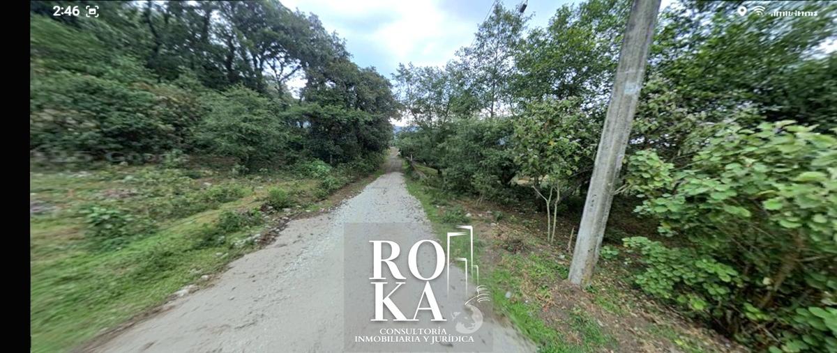 Foto de terreno habitacional en , tlacolulan, tlacolulan, veracruz de ignacio de la llave, 18711714 foto 02 Foto de terreno habitacional en venta en , tlacolulan, tlacolulan, veracruz de ignacio de la llave, 18711714 No. 02