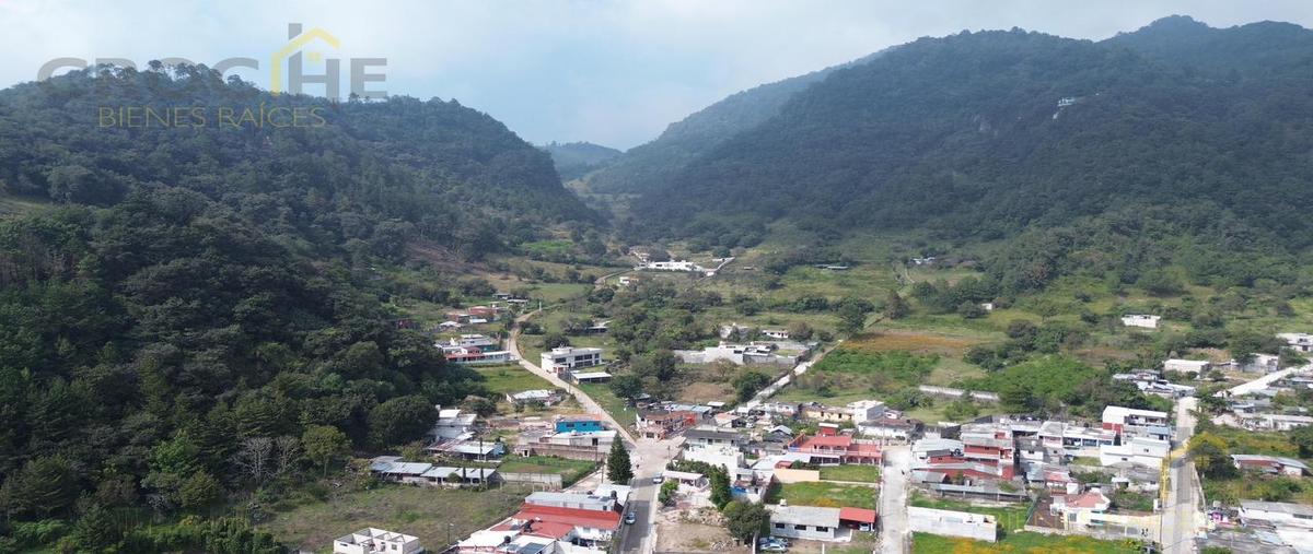 Foto de terreno habitacional en venta en  , tlacolulan, tlacolulan, veracruz de ignacio de la llave, 0 No. 04