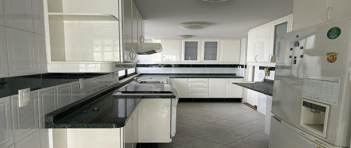 Foto de departamento en renta en  , tlacoquemecatl, benito juárez, df / cdmx, 31001964 No. 05