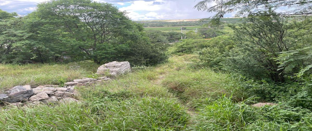 Foto de terreno habitacional en venta en  , tlacote el bajo, querétaro, querétaro, 30178291 No. 04