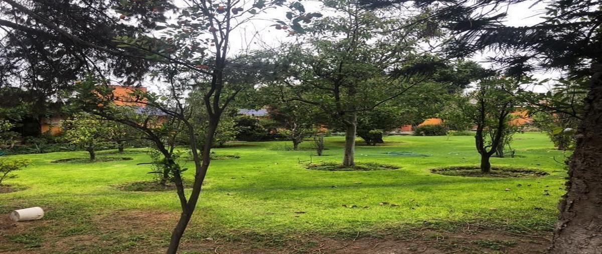 Foto de casa en tlacote el bajo , tlacote el bajo, querétaro, querétaro, 28887413 foto 04 Foto de casa en venta en tlacote el bajo , tlacote el bajo, querétaro, querétaro, 28887413 No. 04