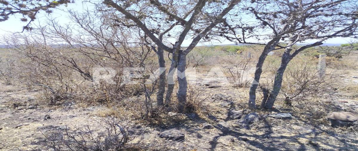 Foto de terreno habitacional en tlacote , el pie, querétaro, querétaro, 0 foto 01 Foto de terreno habitacional en venta en tlacote , el pie, querétaro, querétaro, 0 No. 01