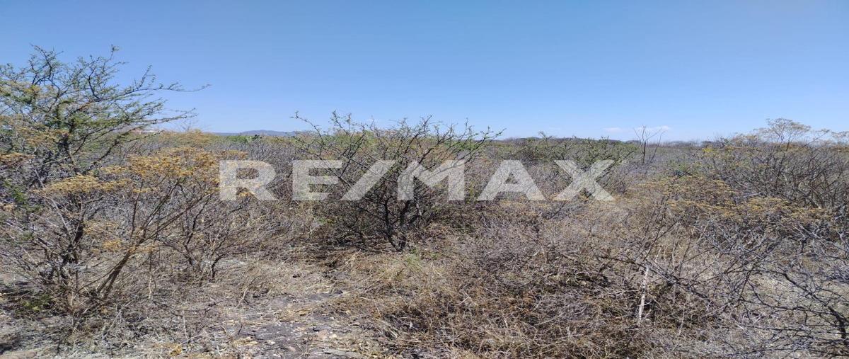 Foto de terreno habitacional en tlacote , el pie, querétaro, querétaro, 0 foto 02 Foto de terreno habitacional en venta en tlacote , el pie, querétaro, querétaro, 0 No. 02