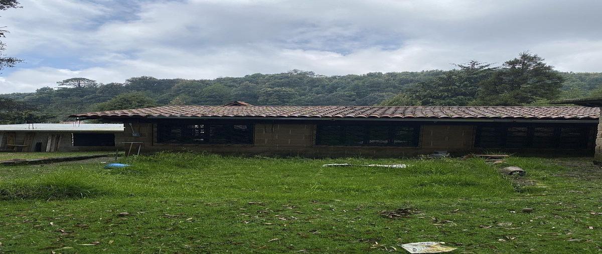 Foto de casa en venta en tlacotepec , huitzilac, huitzilac, morelos, 30963191 No. 04