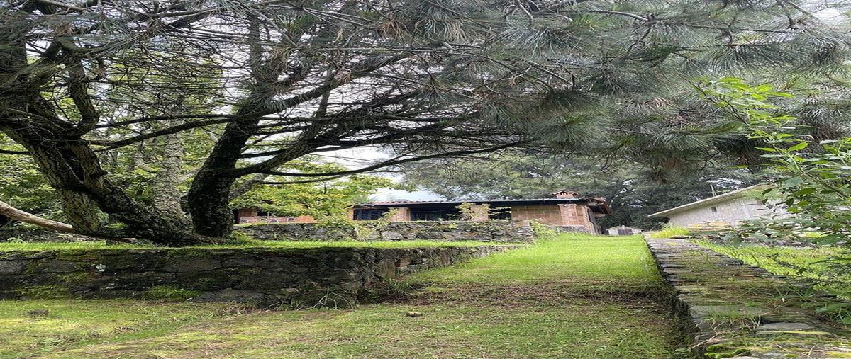 Foto de casa en venta en tlacotepec , huitzilac, huitzilac, morelos, 30963191 No. 05