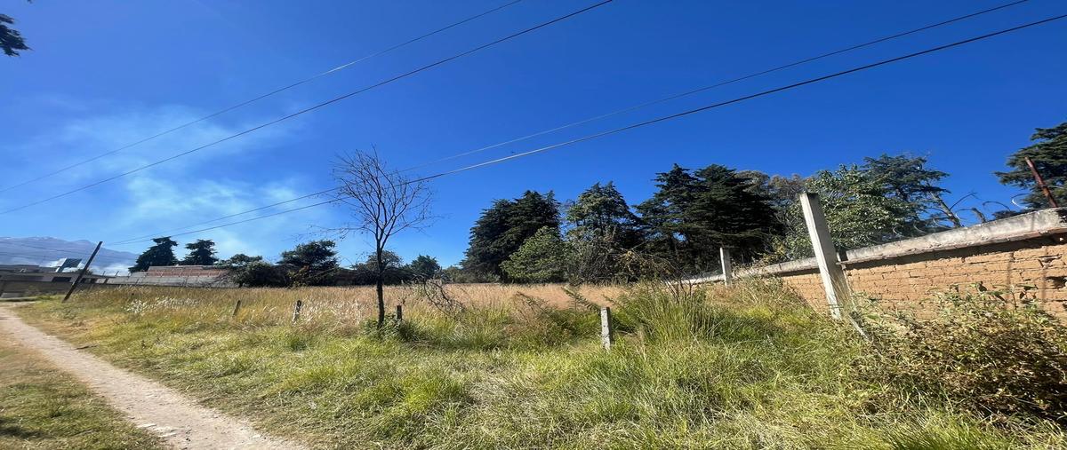 Foto de terreno comercial en venta en tlahuapan , ignacio lópez rayón, tlahuapan, puebla, 28974939 No. 04