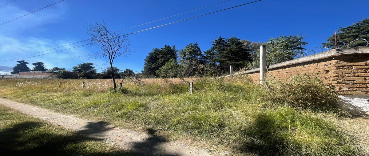 Foto de terreno comercial en venta en tlahuapan , ignacio lópez rayón, tlahuapan, puebla, 28974939 No. 07