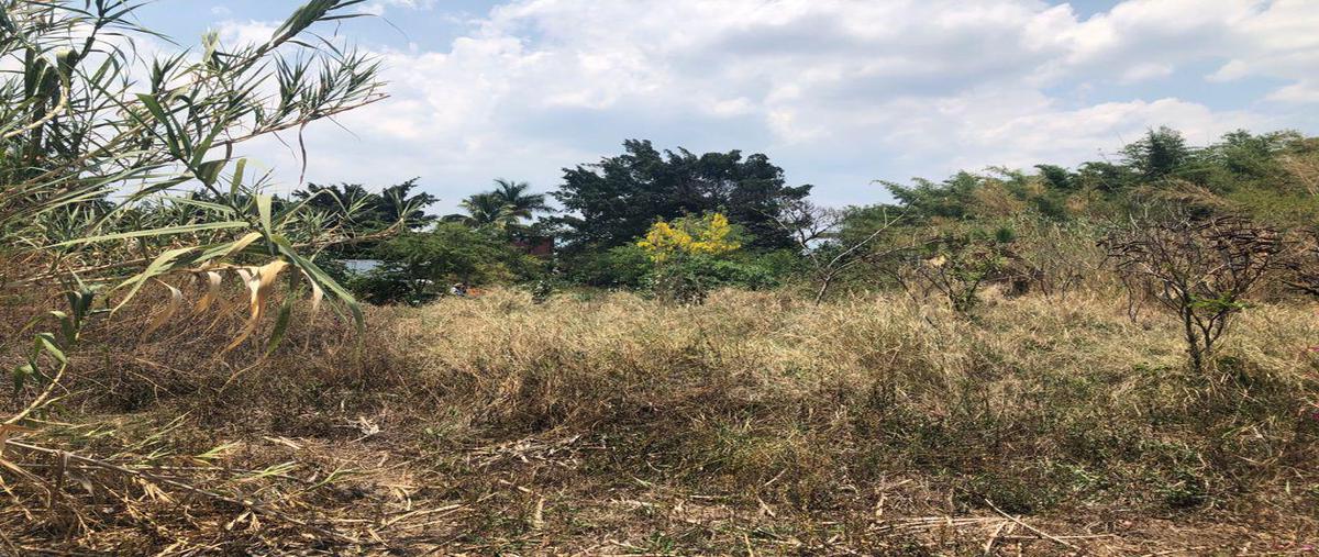 Foto de terreno habitacional en venta en  , tlahuapan, jiutepec, morelos, 0 No. 05