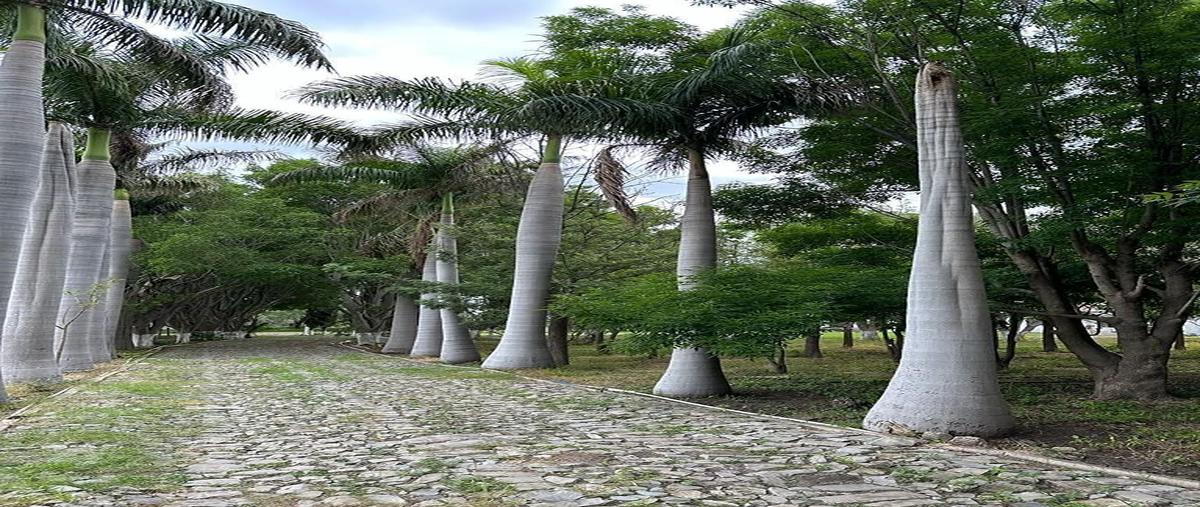 Foto de rancho en venta en tlajomulco , colinas de cajititlán, tlajomulco de zúñiga, jalisco, 26838876 No. 05