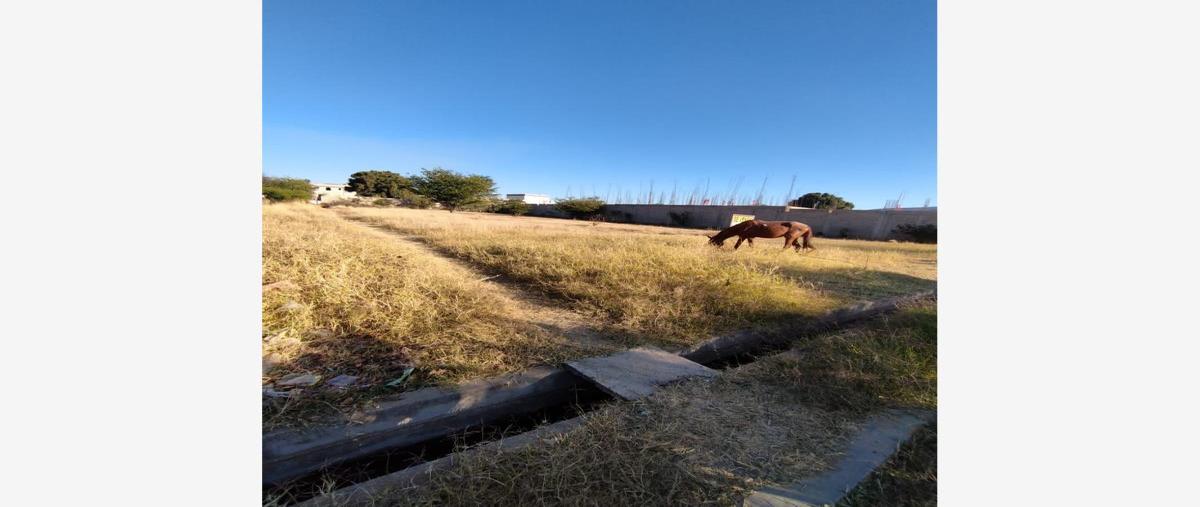 Foto de terreno habitacional en venta en  , tlalixtac de cabrera, tlalixtac de cabrera, oaxaca, 27003924 No. 03